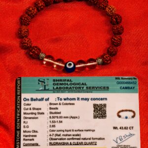 NATURAL RUDRAKSHA& CLEAR QUARTZ(Bracelet)