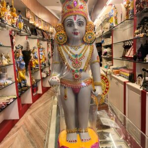 Usha Pooja Krishna (Ash Colour)